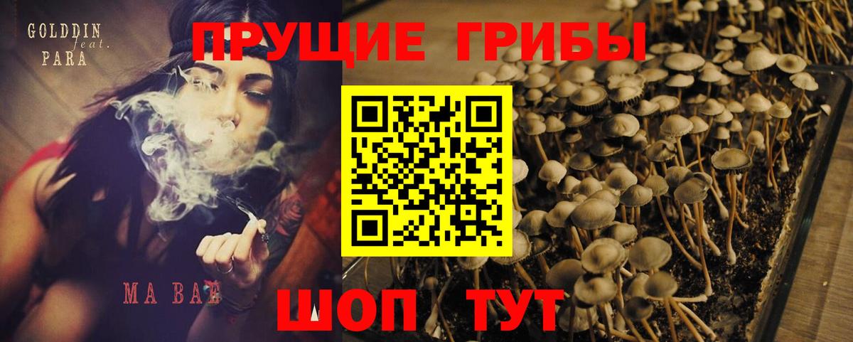 Галлюциногенные грибы Magic Shrooms  Йошкар-Ола  Галлюциногенные грибы GOLDEN TEACHER 